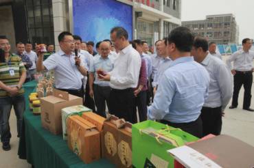 實踐進展類--大連理工大學人文與社會科學學部赴多省市校園景觀調研暑期社會實踐團