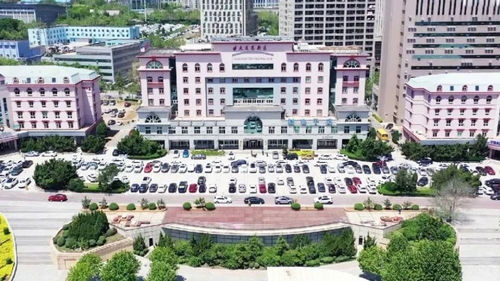 大連這個(gè)區(qū) 高 在哪